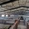 Çiftlik Tesisi Büyük Açıklıklı Prefabrik Çelik Yapı Atölyesi Kolay Montaj Onarımı