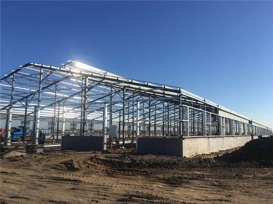 Q235B Prefabrik Çelik Yapı Sığır Çiftliği Binası