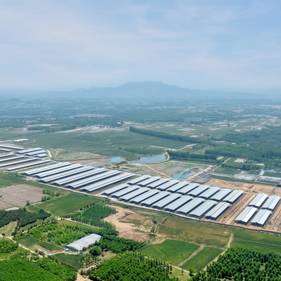 Galvanizli Çelik Yapılı Modern Hafif Çelik Karkaslı Sığır Barınağı