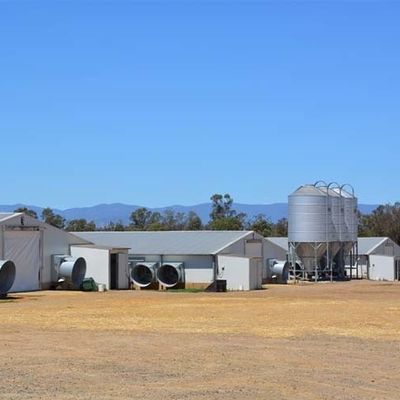 Prefabrik Çelik Kümes Hafif Yapı Q235B Q355B