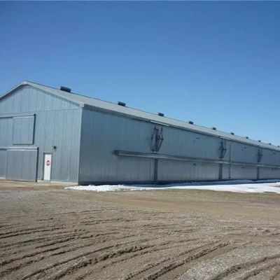 Prefabrik Çelik Kümes Hafif Yapı Q235B Q355B