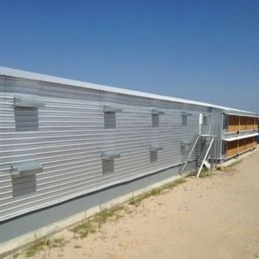 Prefabrik Çelik Kümes Hafif Yapı Q235B Q355B