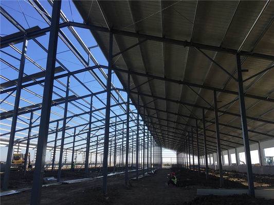 Q235B Prefabrik Çelik Yapı Sığır Çiftliği Binası