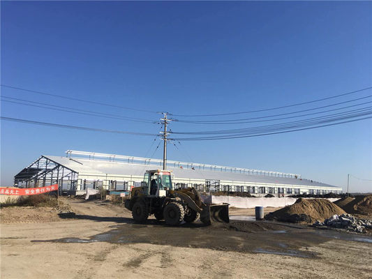Q235B Prefabrik Çelik Yapı Sığır Çiftliği Binası