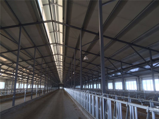Sandviç paneli olan prefabrik yalıtım çelik sığır ahırı