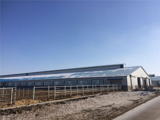 Sandviç paneli olan prefabrik yalıtım çelik sığır ahırı