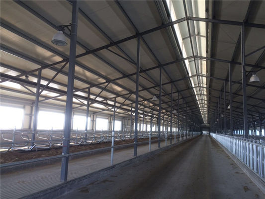 Sandviç paneli olan prefabrik yalıtım çelik sığır ahırı