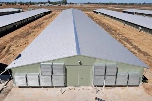 Prefabrik H kirişli çelik yapısı Tavuk evi Sandviç paneli yalıtım