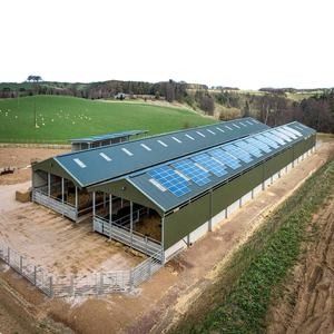Prefabrik Metal Çelik Tavuk Evi Endüstrisi Çelik Yapı