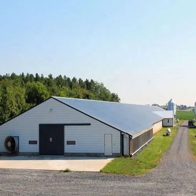 Prefabrik Metal Çelik Tavuk Evi Endüstrisi Çelik Yapı