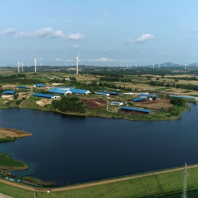 Süt etli sığır için galvanizli çelik inek çadırı 20+ yıl ömrü