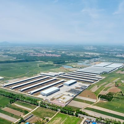 Tasarım Tedariki Modern Çelik Yapı Süt Çiftliği Barınağı Metal Sığır Barınağı Havalandırma Sistemi İle