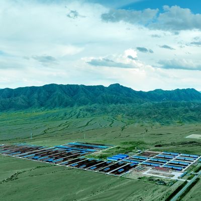 Dayanıklı Yüzey İşlemi ve Uzun Hizmet Ömrü ile Prefabrik Çelik Yapı Modüler İnek Çiftliği Barınağı Çelik Bina