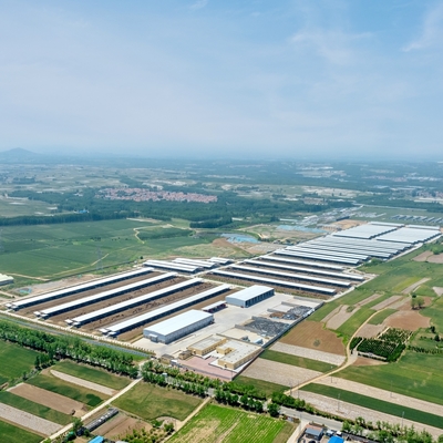 Galvanizli Çelik Yapılı Modern Hafif Çelik Karkaslı Sığır Barınağı