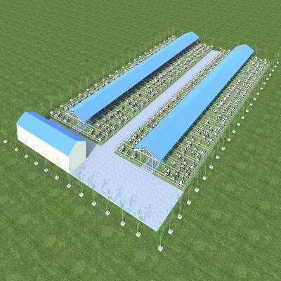 Tasarım Tedariki Modern Çelik Yapı Süt Çiftliği Barınağı Metal Sığır Barınağı Havalandırma Sistemi İle