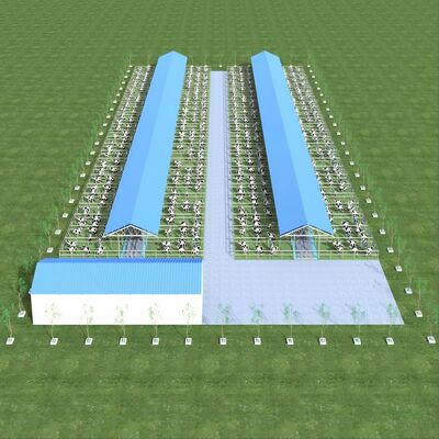 Tasarım Tedariki Modern Çelik Yapı Süt Çiftliği Barınağı Metal Sığır Barınağı Havalandırma Sistemi İle