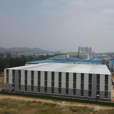 Heavy Steel Structure Logistics Warehouse with Good Price
