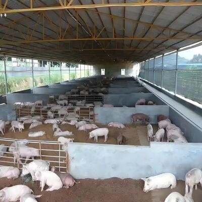 Prefabrik Binalar Tavuk Evi Çelik Yapı Tavuk Çiftliği Evi Sığır Ahırı Çelik Bina Çerçevesi