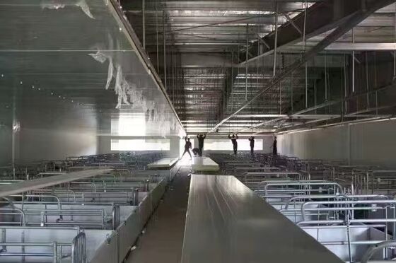 Prefabrik Binalar Tavuk Evi Çelik Yapı Tavuk Çiftliği Evi Sığır Ahırı Çelik Bina Çerçevesi