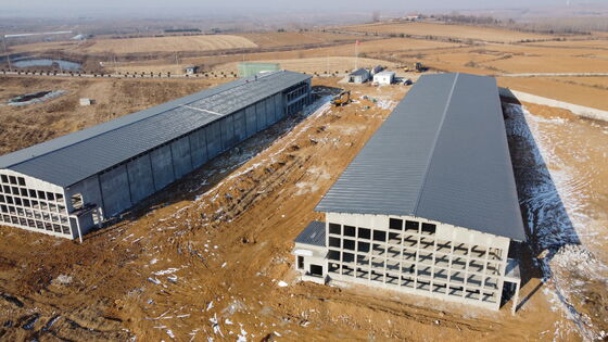 Prefabrik Modern Çelik Yapı Yumurta Tavukları için Tavuk Evi