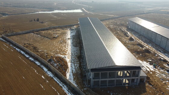 Prefabrik Modern Çelik Yapı Yumurta Tavukları için Tavuk Evi