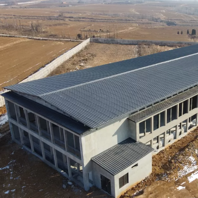 Süt Çiftliği için Prefabrik Çelik Yapı Sığır Kulübesi