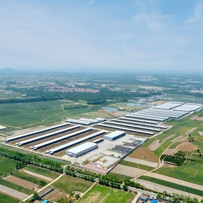 Uzun Serive Yaşam Yapılandırılmış Çelik Yapı Yüzey Tedavisiyle Sığır Ahırı